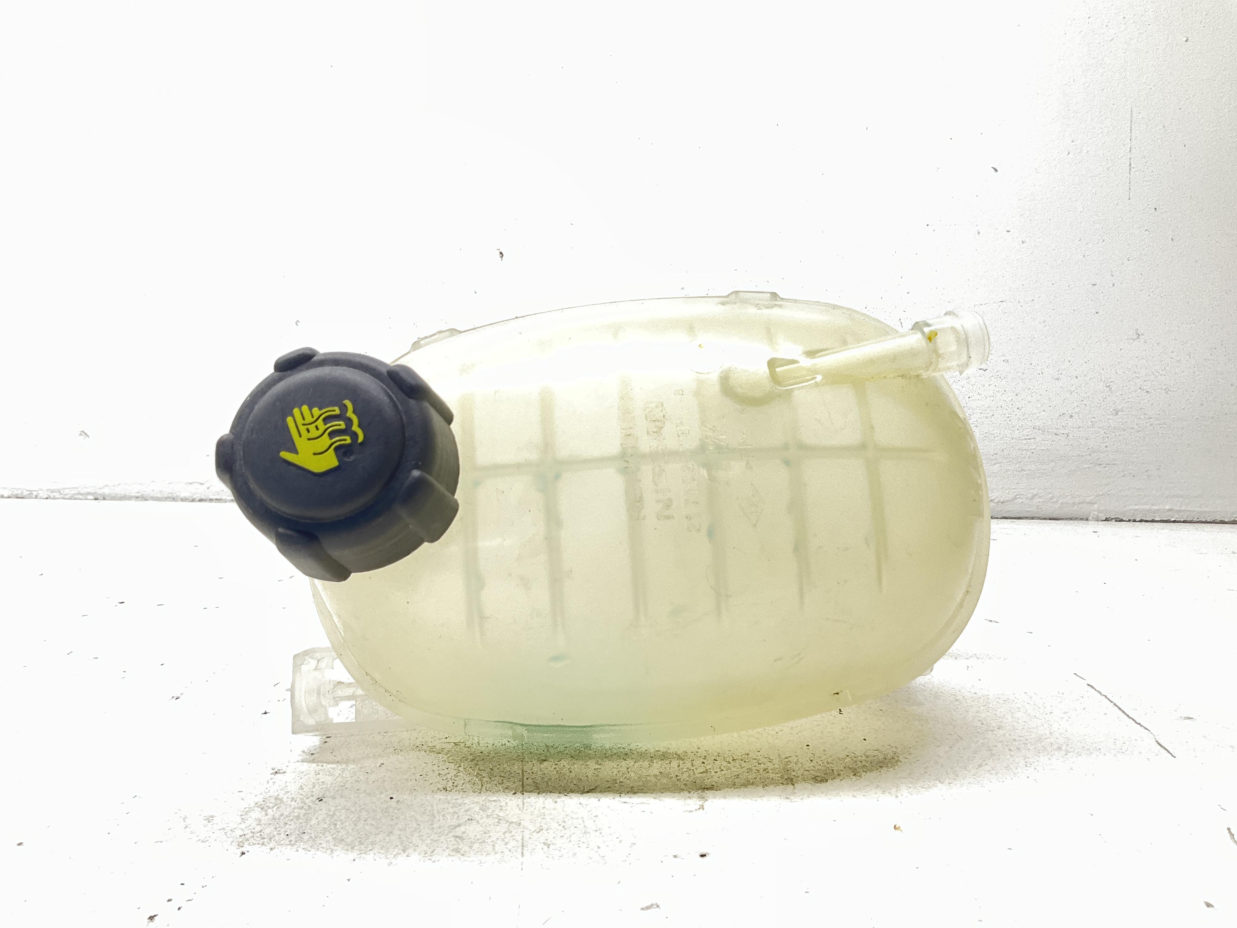 Vaschetta Compensazione Radiatore Usato