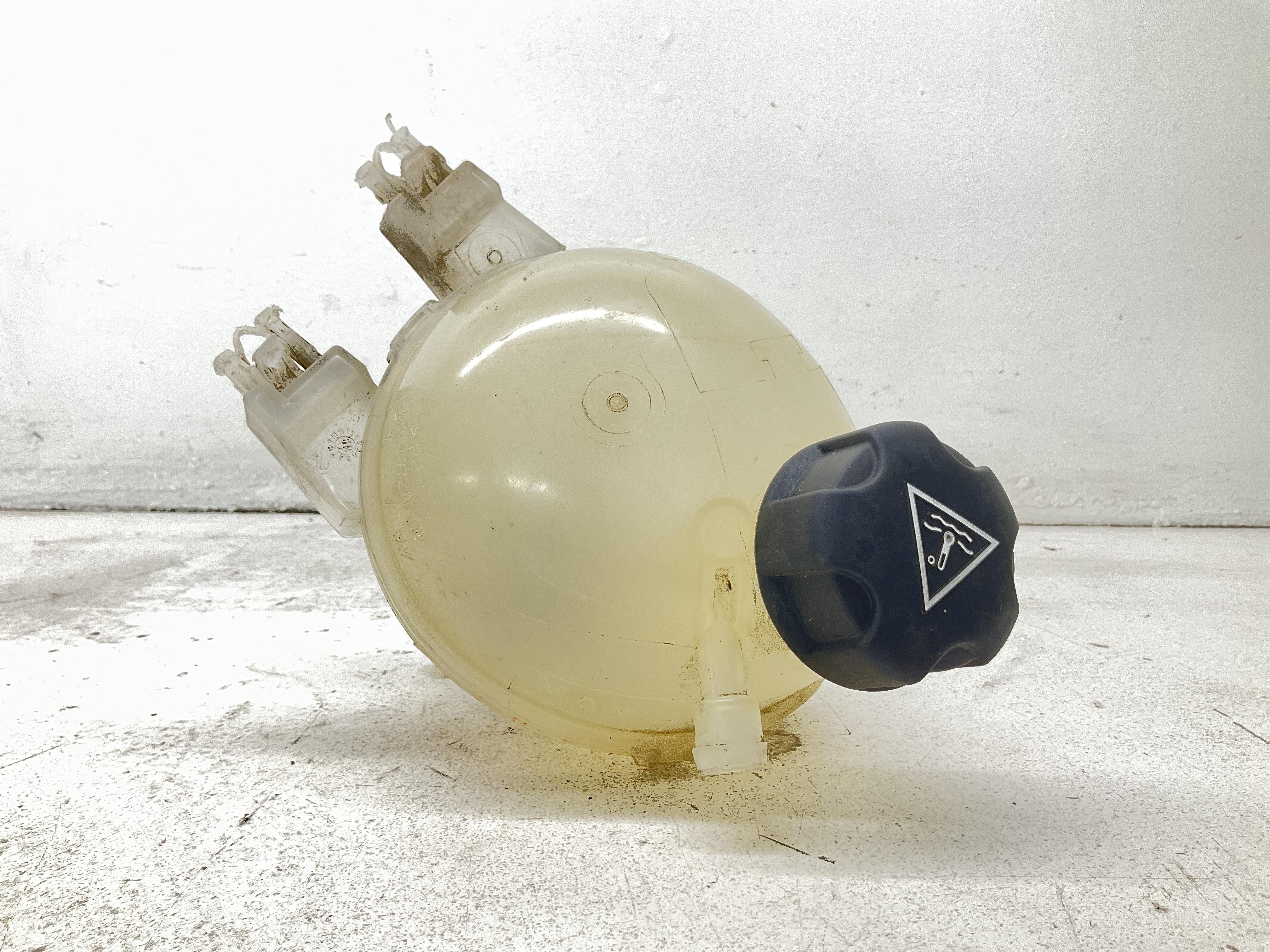 Vaschetta Compensazione Radiatore Usato