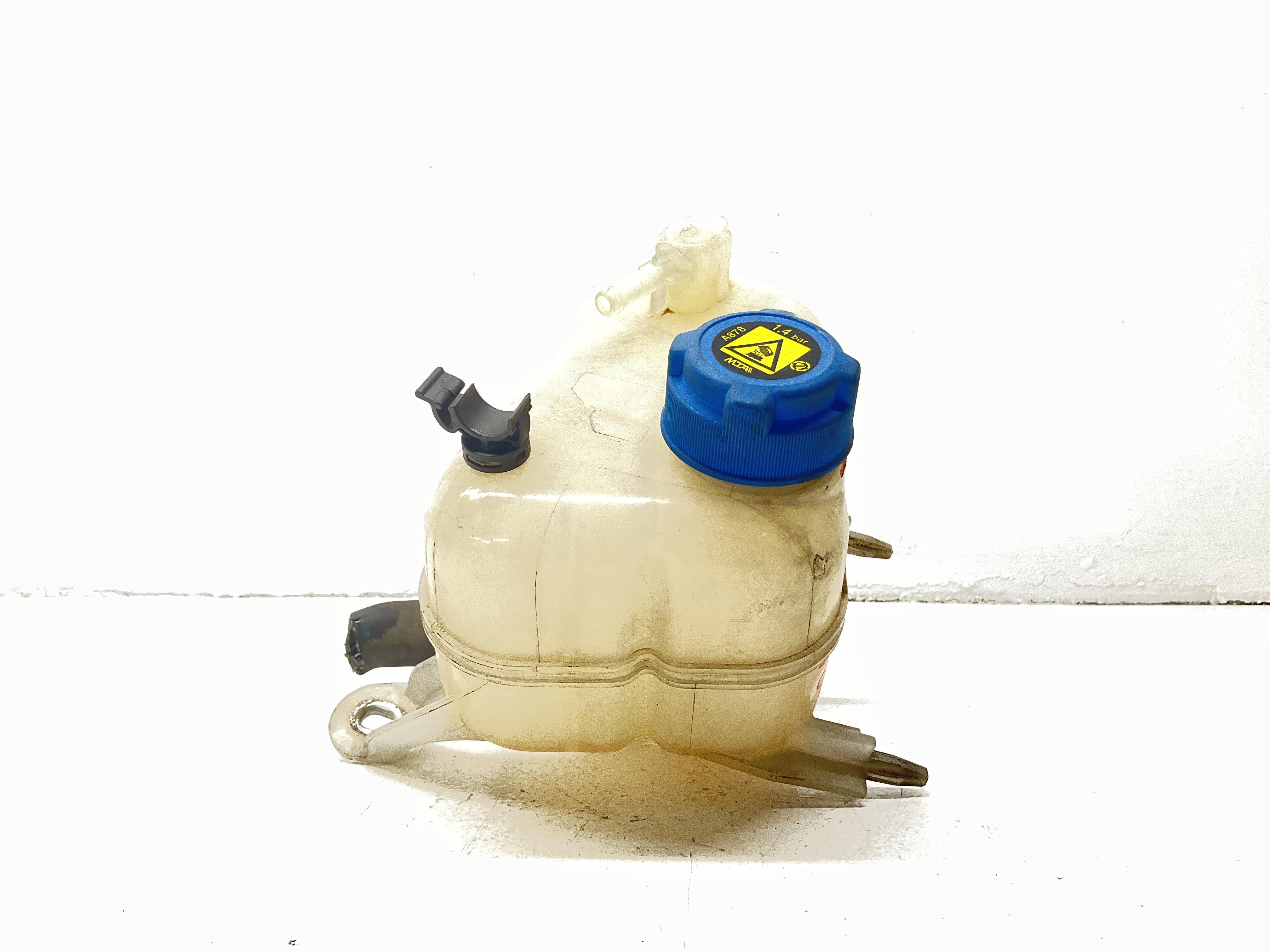 Vaschetta Compensazione Radiatore Usato