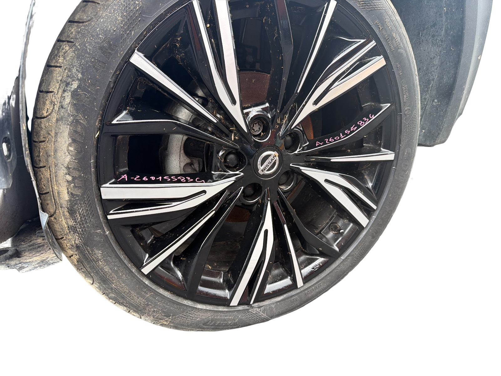 Disco Ruota Ant. In Lega Sinistro (Nissan Nissan) 403006PD1B Usato