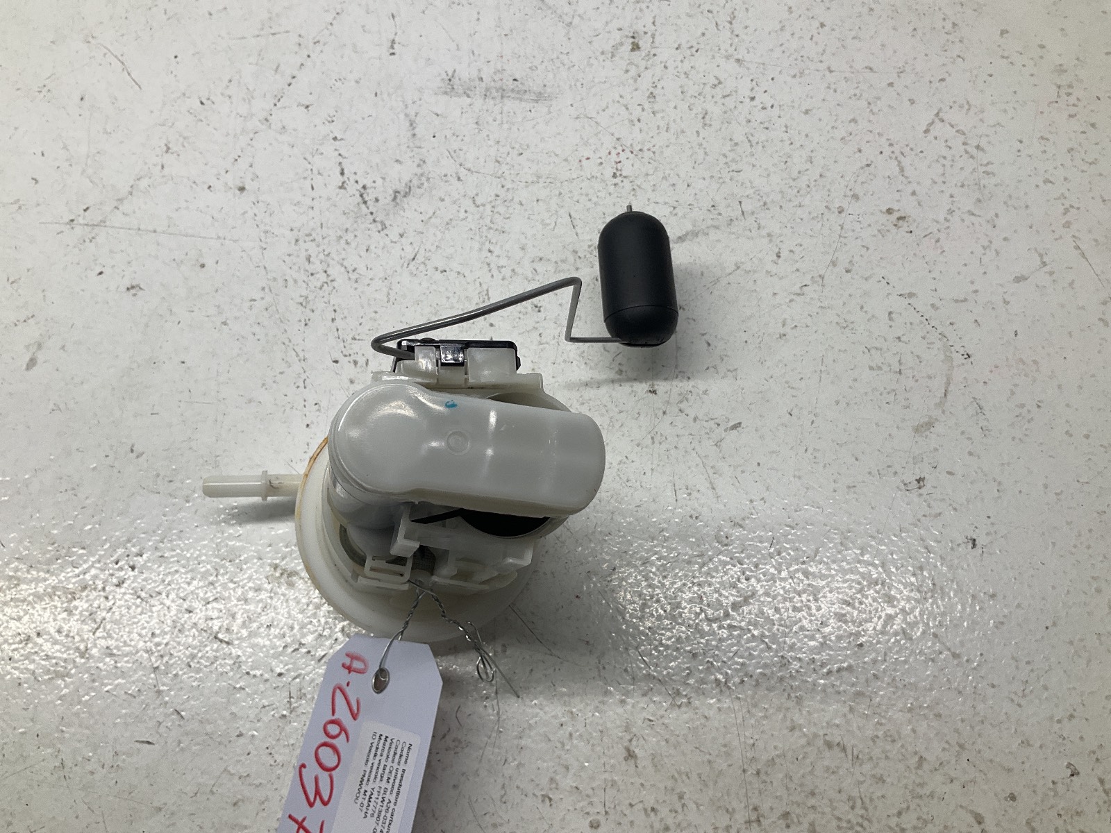 Miniatura 6