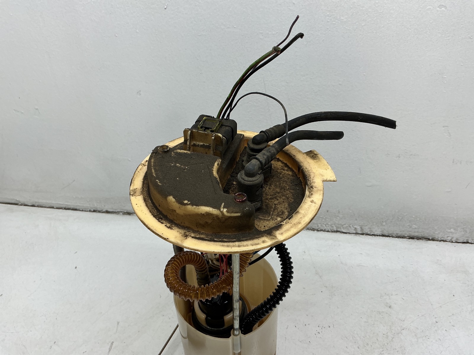 Miniatura 6